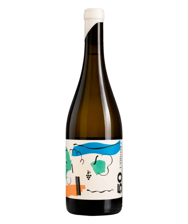 Vi dels 50 anys de L'Olivera