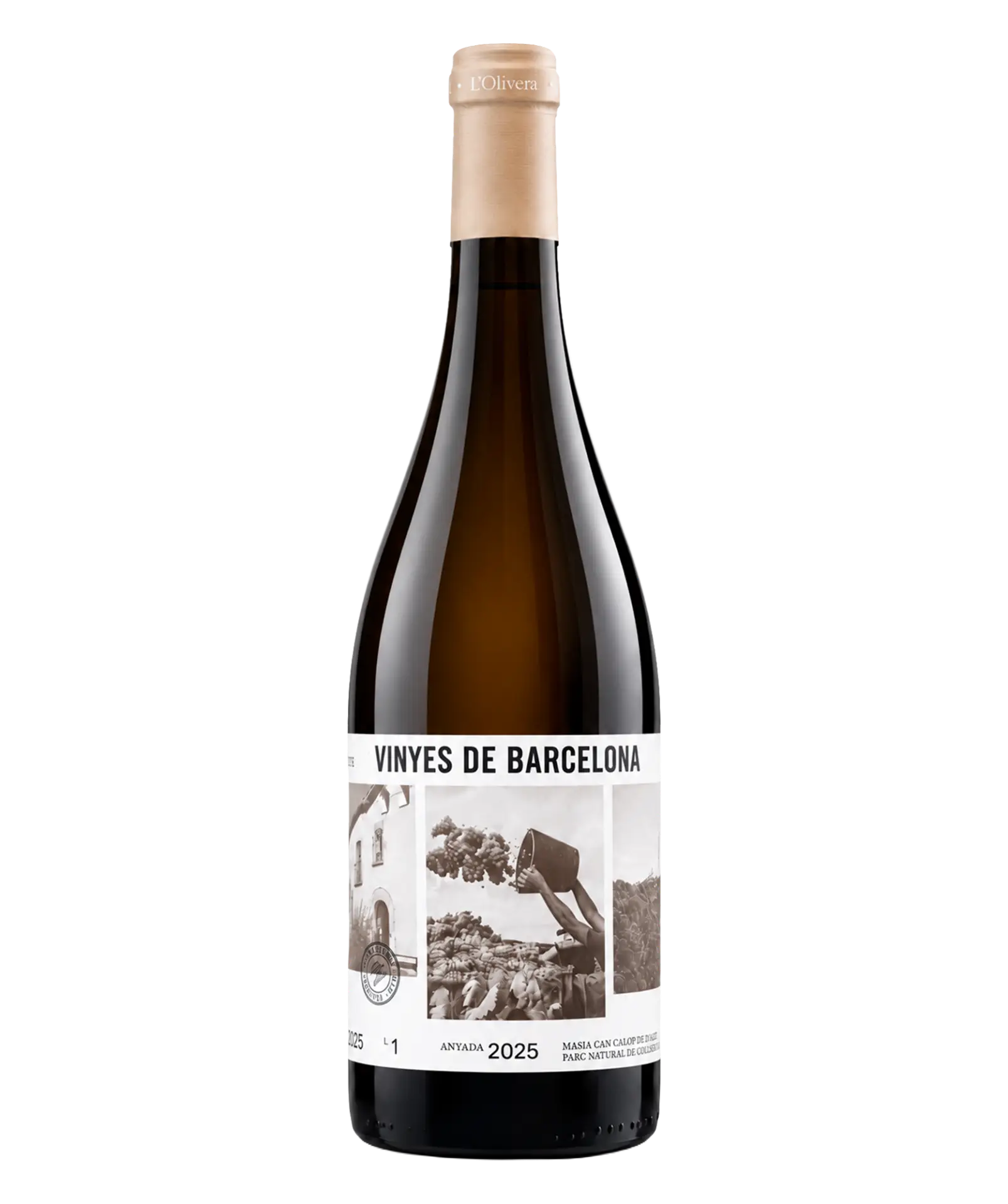 Vinyes de Barcelona blanc de L'Olivera
