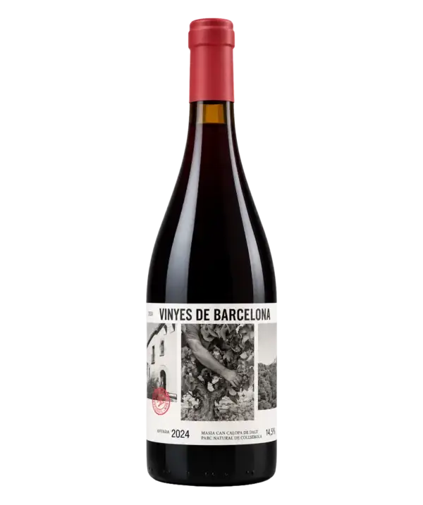 Vinyes de Barcelona de L'Olivera