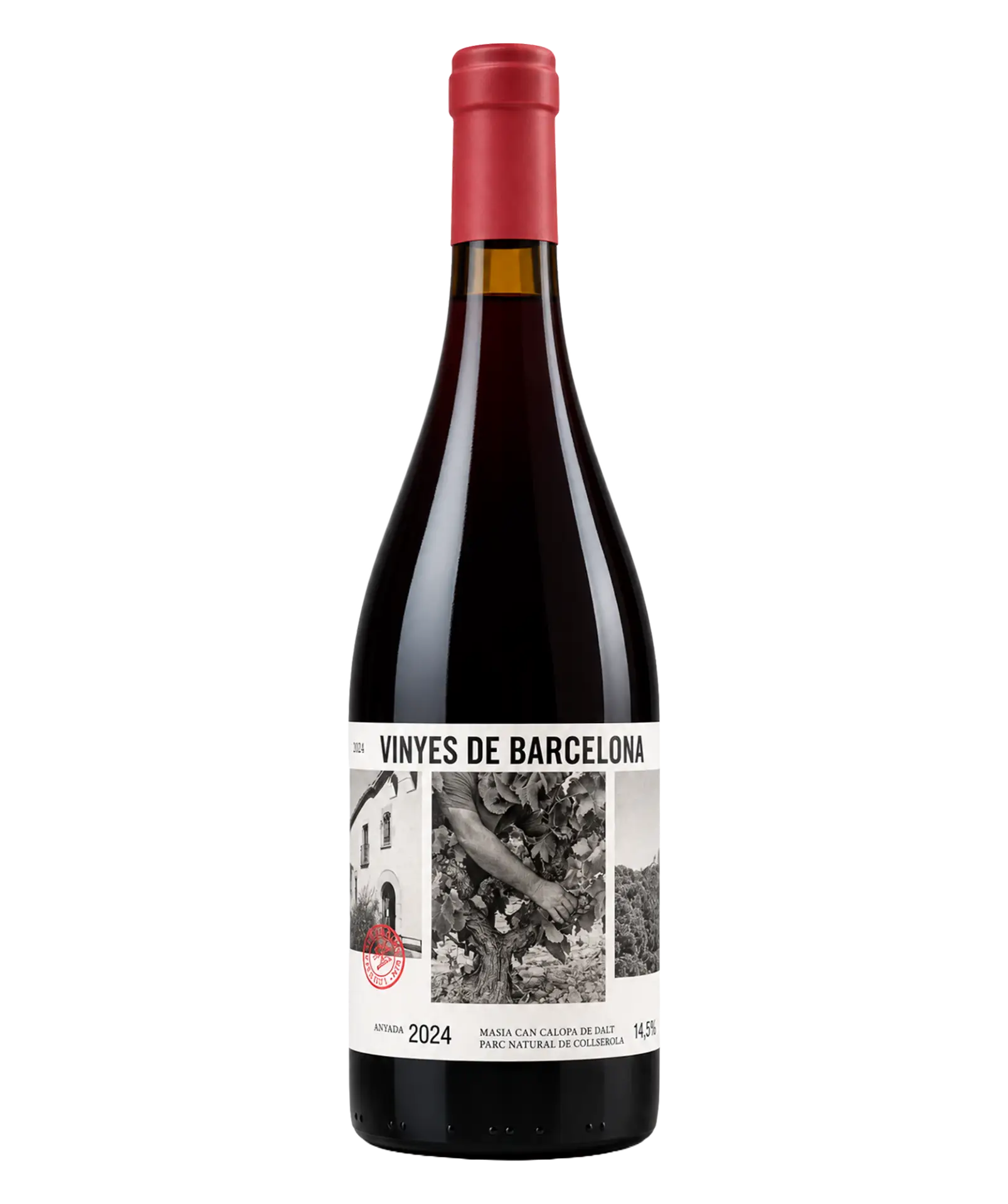 Vinyes de Barcelona de L'Olivera