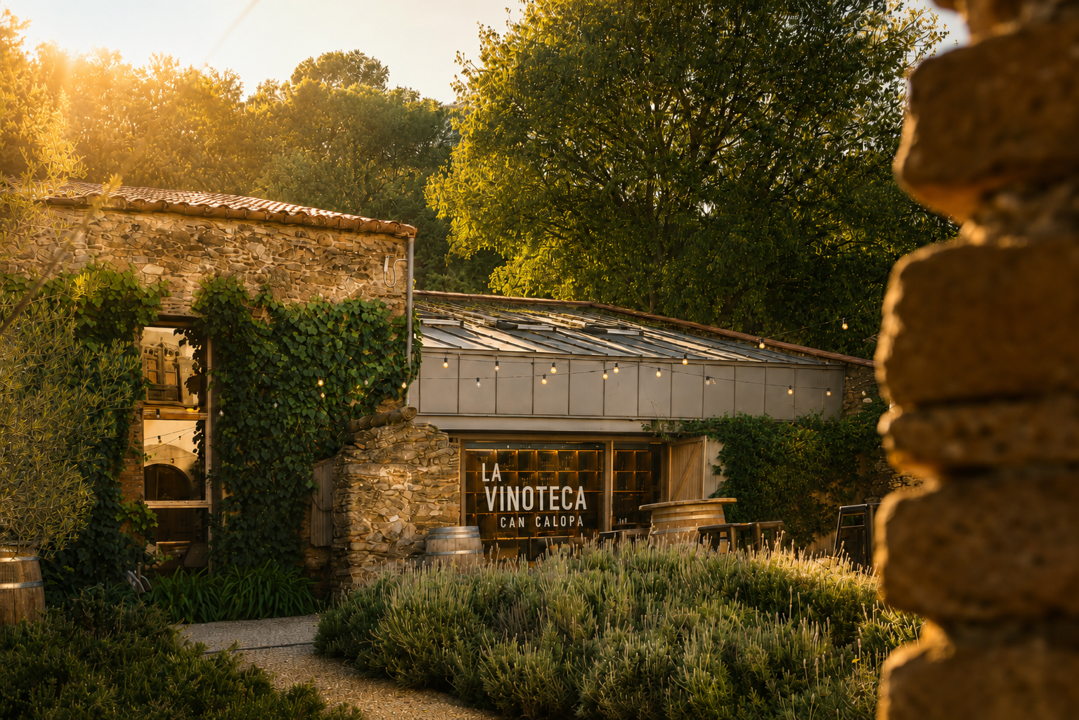 Façana de La Vinoteca de Can Calopa al capvespre, envoltada de vegetació i il·luminada amb una llum càlida de tarda.