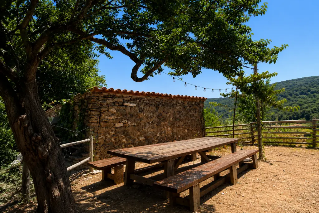La Prunera de Can Calopa